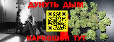 индика Кинель