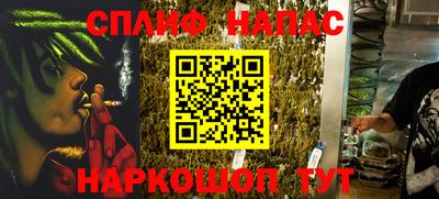 индика Кинель