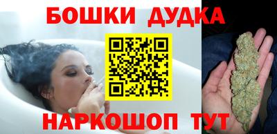 индика Кинель
