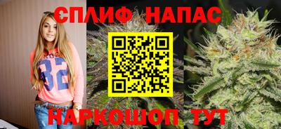 индика Кинель