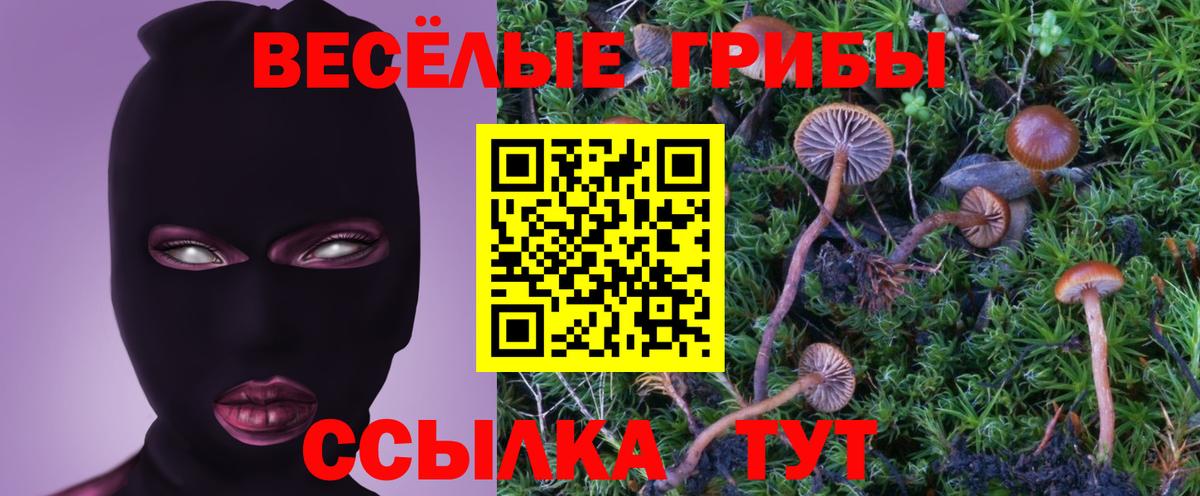 Галлюциногенные грибы GOLDEN TEACHER Арсеньев